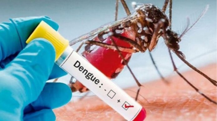 Dengue Outbreak in Karbi Anglong