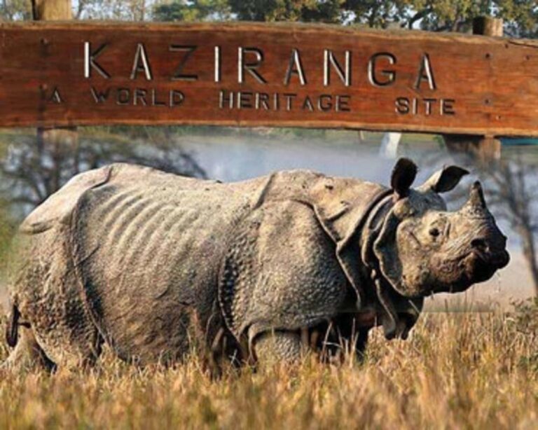 Kaziranga National Park to open on February 4 Kaziranga National Park to open on February 4